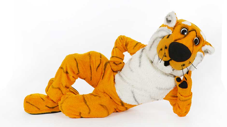  Truman the Tiger